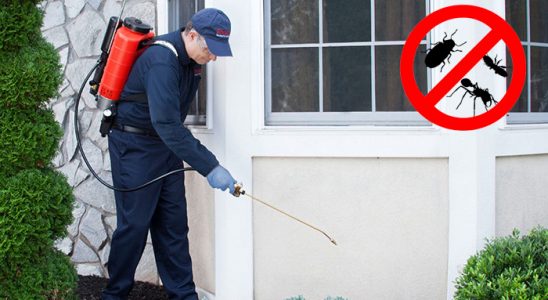 Uluborlu Karınca İlaçlama böcek ilaçlama ve haşere kontrolü — ilaclama-tr.com